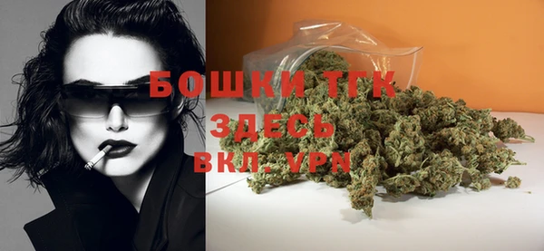 эйфоретик Аркадак