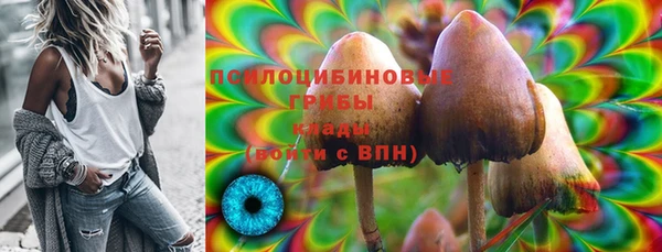 2c-b Балахна