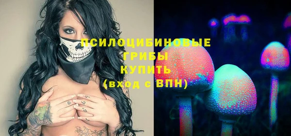 ГАЛЛЮЦИНОГЕННЫЕ ГРИБЫ Баксан