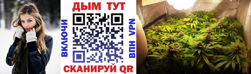 купить наркотики цена  Макарьев  Канабис план 